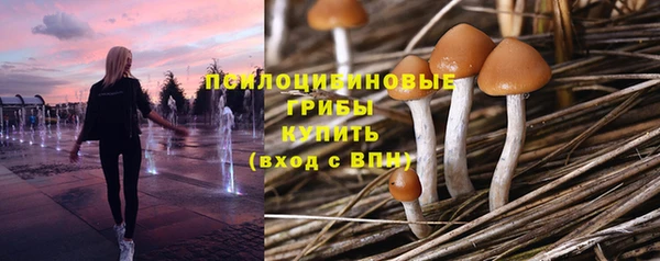 а пвп мука Козельск